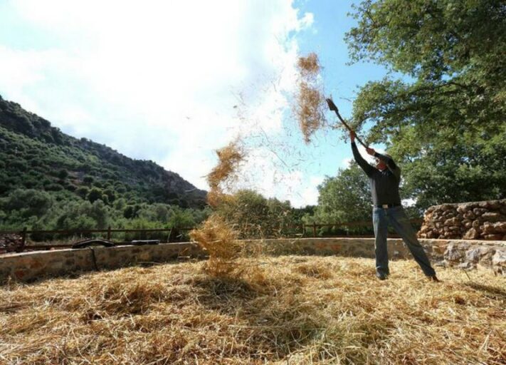 Experience ‘Authentic life’ in Crete